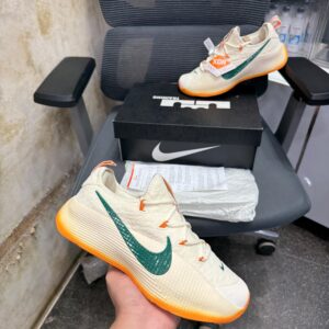Nikee honors famu lebron tr1 (10A)